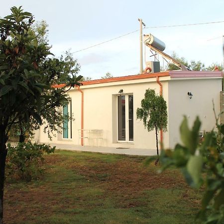 Apartamento Al 101...Sogni... Villa San Pietro Exterior foto